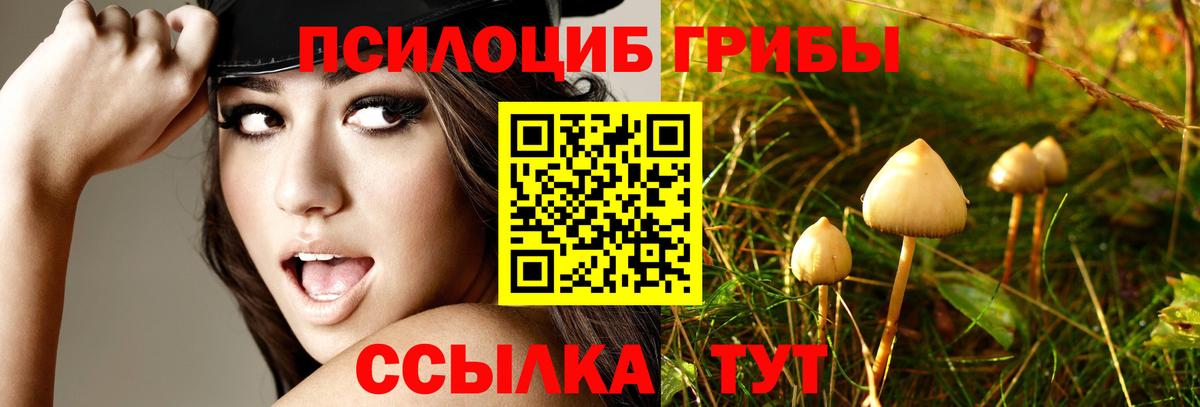 Псилоцибиновые грибы прущие грибы Пыть-Ях