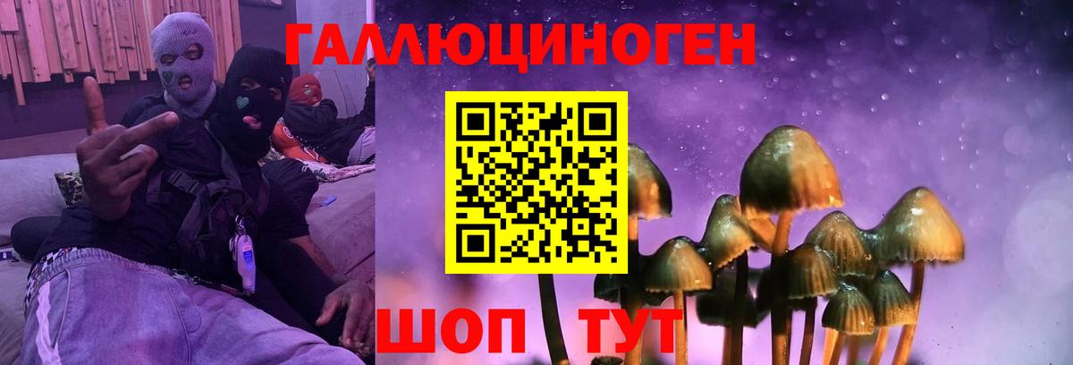 Галлюциногенные грибы Psilocybine cubensis  Вход с VPN  Пыть-Ях 