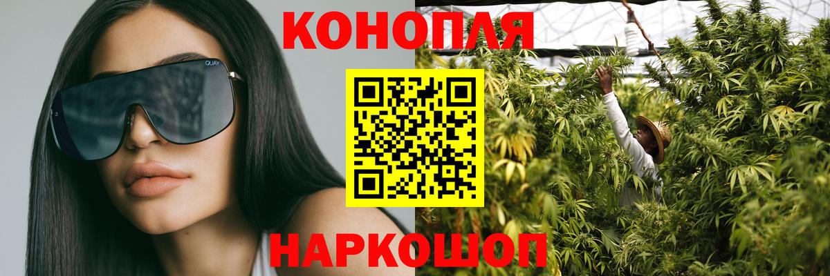 Каннабис сатива Пыть-Ях